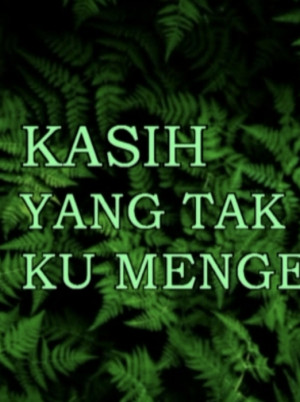 Kasih Yang Tak Ku mengerti