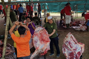 Ketika Kambing Dan Sapi Menjadi Filsuf