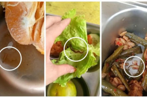 Viral Cacing-Ulat di Menu MBG Musi Rawas, Dua Desa Tolak Distribusi Makanan