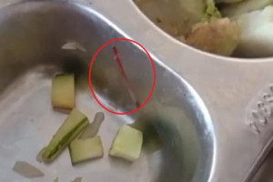 Viral Menu MBG di Pati Ditemukan Cacing dan Ulat, Plt Bupati Langsung Sidak SPPG