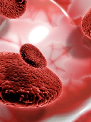 Remaja Putri Tampak Sehat, tetapi Terancam Anemia:   Ancaman Diam bagi Generasi Masa Depan