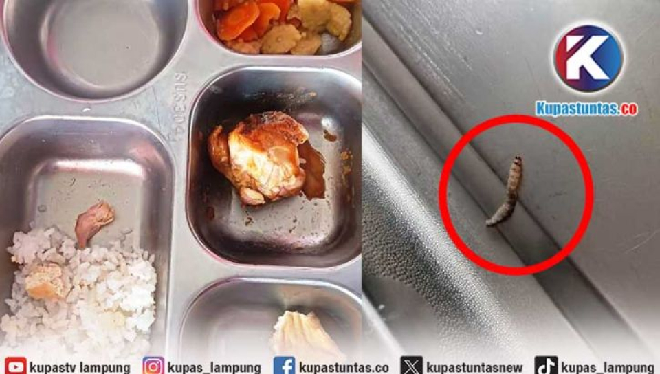 MBG di Lampung Barat Dikeluhkan, Daging Alot Seperti Karet hingga Temuan Ulat di Makanan Siswa
