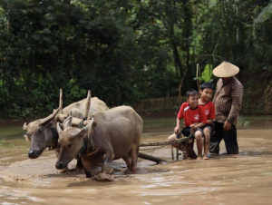 “Berlibur ke Rumah Nenek” dan Hipokrisi Dunia Pendidikan Kita