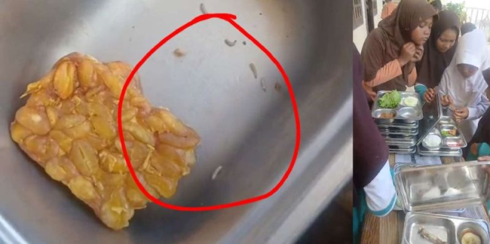 Dinkes Aceh Selatan Benarkan Menu MBG Bercampur Ulat, Korwil BGN Sulit Diajak Koordinasi