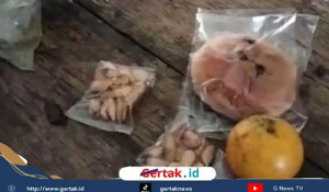 MBG: Foto menu MBG yang diterima murid SMPN 6 Batang. 