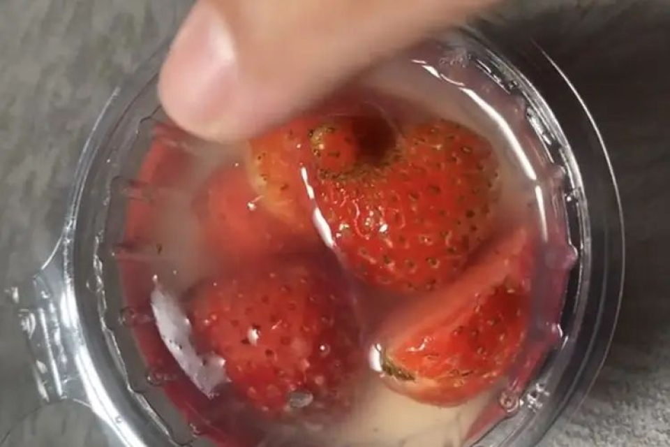 Wali Murid di Kota Malang menunjukkan ada belatung di menu MBG Puding Stroberi. 