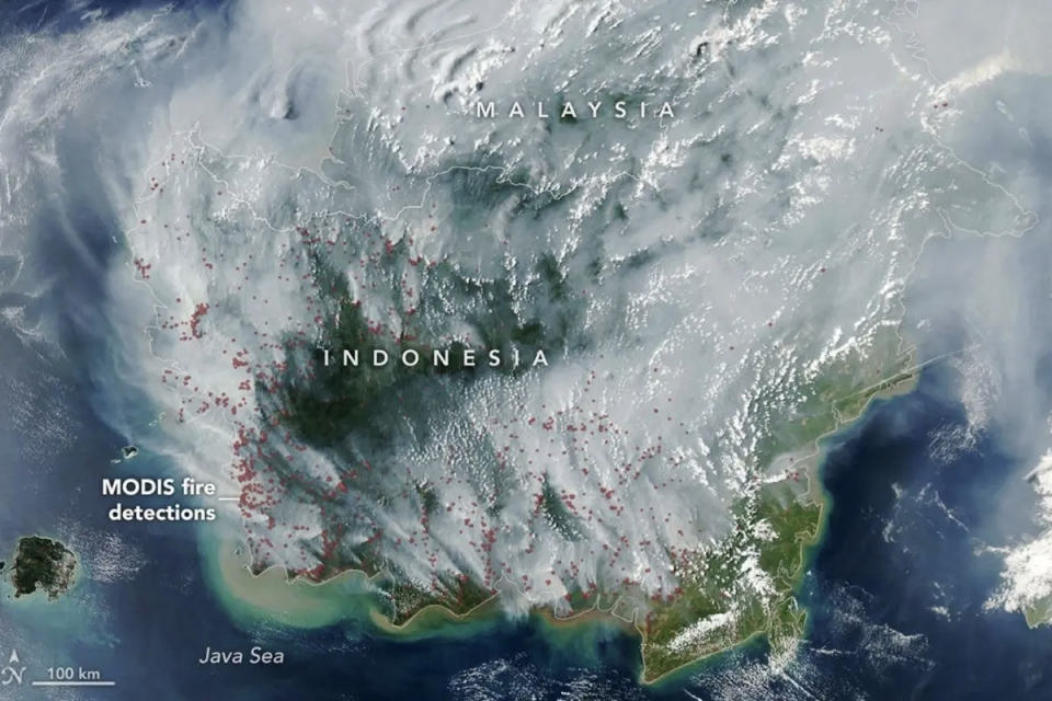 Kebakaran Hutan Indonesia Terpantau NASA, Asap Selimuti Kalimantan
