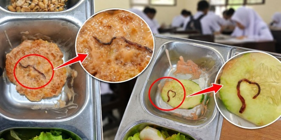 Menu MBG di SMAN 1 Tapaktuan Diduga Mengandung Cacing