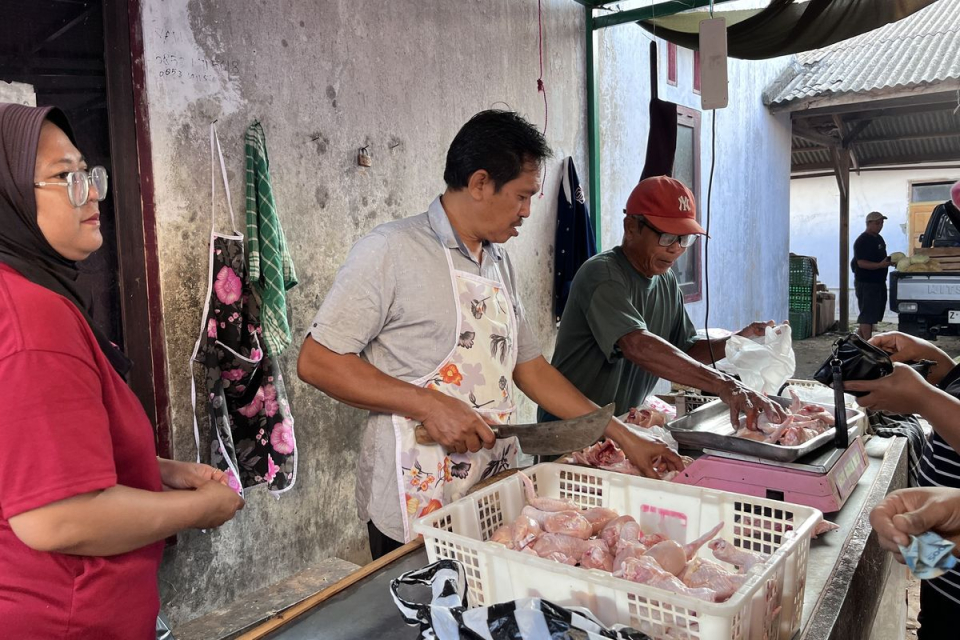 Harga Ayam di Pangandaran Naik, Pedagang: Karena MBG Sudah Jalan Lagi