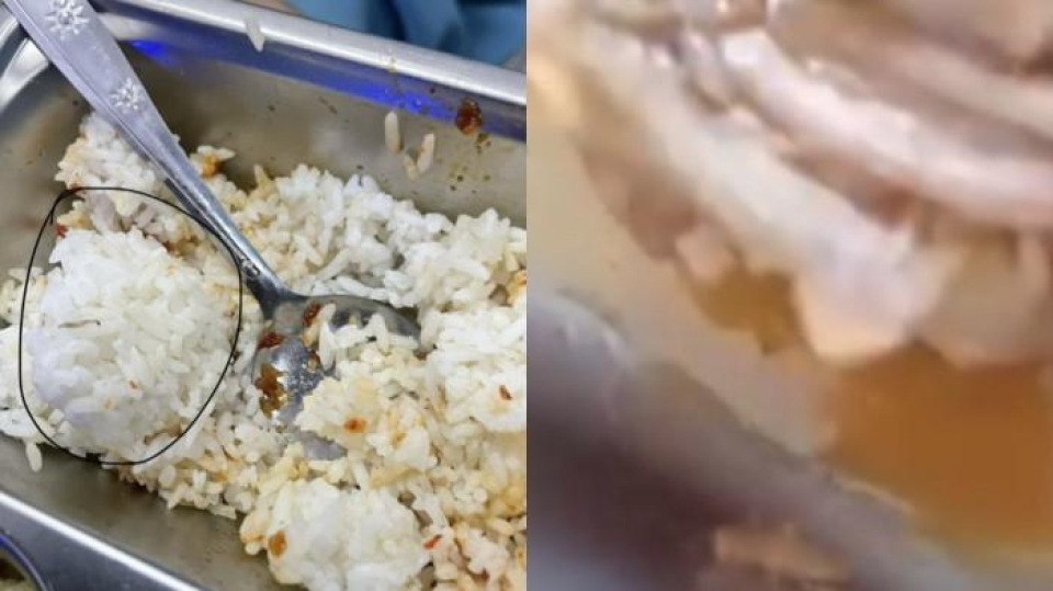 PROGRAM MBG DI BATAM - Kolase ulat dan anak kecoak dalam menu Makan Bergizi Gratis (MBG) di Kota Batam, Provinsi Kepulauan Riau (Kepri). Ombudsman RI Perwakilan Kepri menyoroti pengawasan terkait program itu. 