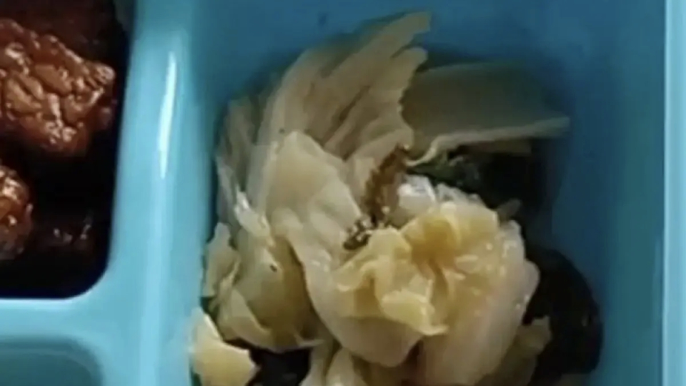 Lagi, Ulat Ditemukan di Menu MBG di Jombang