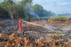 Pemerintah Pangkas Anggaran Bencana di Tengah Krisis, Gugatan atas UU APBN 2026 Mandek di MK